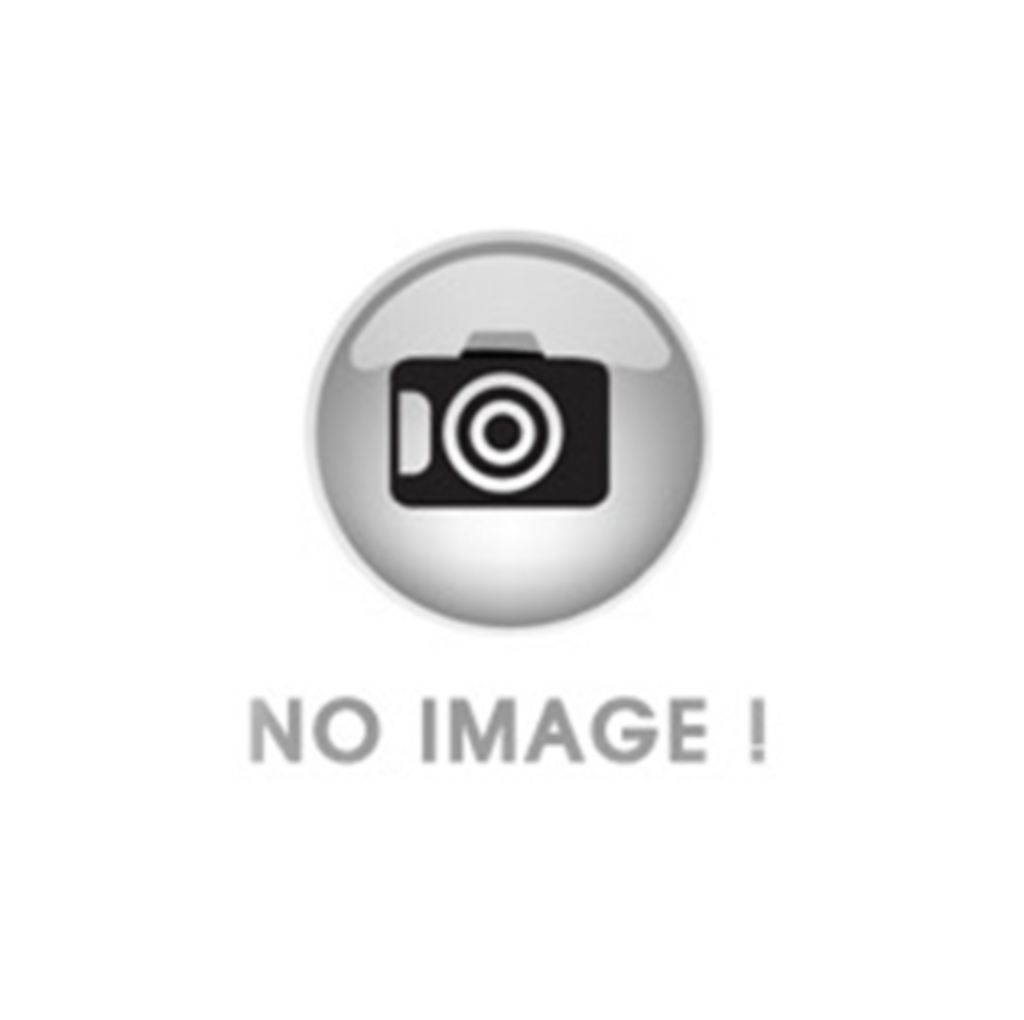 G로디우스오토115 (OAP)